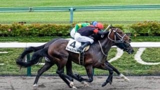 【レパードS AI予想】真っ先にチェックするべきは“実績上位の馬”