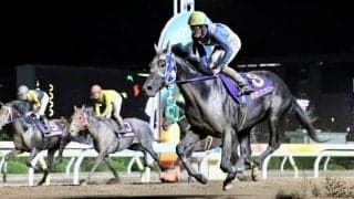 【サンタアニタT】森泰斗「良い経験になれば」ヒーローコールはまさかの10着