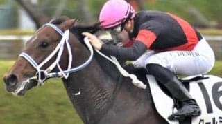 ドレフォン産駒初のJRAダート重賞制覇へ レパードSに砂連対率100％の逸材が参戦