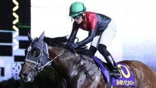 【サンタアニタT】達城「これからも連勝を狙っていきたい」シュアゲイトが9連勝で重賞初制覇