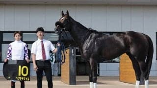 デビュー7年目富田暁騎手がJRA重賞初制覇へ 連勝中ペプチドナイルとのコンビでエルムS参戦