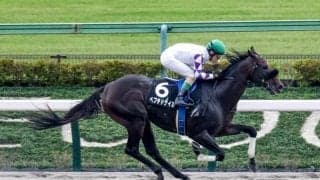 【エルムS出走馬・騎手確定】ペプチドナイル＆富田暁騎手、セキフウ＆武豊騎手など14頭