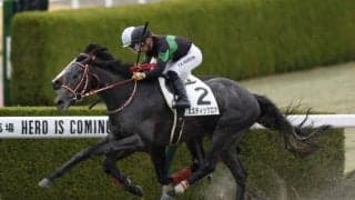 【レパードS出走馬・騎手確定】ミスティックロア＆川田将雅騎手、クールミラボー＆松山弘平騎手など15頭