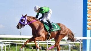 【笠松・撫子争覇結果】レイジーウォリアーが重賞2勝目を挙げる 断然人気のベニスビーチは2着