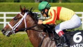 フェルヴェンテらが15分の11の抽選通らずレパードS除外