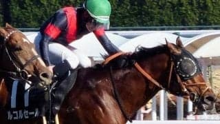 【エルムS】伯父は砂王ゴールドアリュール “砂の良血”が2年ぶり2回目の重賞挑戦