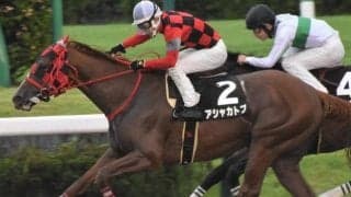 エルムSに2頭の7歳馬が参戦 データ上は厳しくも今年はプラス要素がズラリ