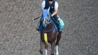 ナイスネイチャ近親ライスネイチャが13日小倉でデビュー