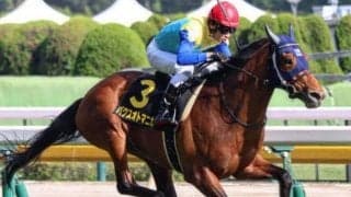 ダービー13着のパクスオトマニカ レパードS勝利のカギは初ダート