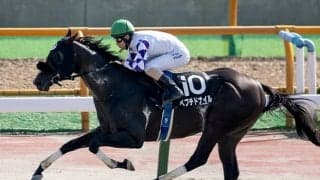 ペプチドナイルに立ちはだかる“北海道ダート3冠”の壁 エルムSでジンクス打破＆重賞初Vなるか 