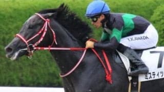 出走機会3連続連対中の矢作芳人厩舎 将来性は文句なしの大型馬でレパードSを2連覇だ