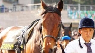 好調のヘニーヒューズ産駒 レパードS制し3カ月連続JRA重賞Vなるか