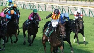 【アイビスSD】石川裕紀人、代打騎乗で見事な差し切り炸裂…オールアットワンスが1年の休養明けV