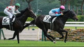 【新馬/新潟5R】エピファネイア産駒 カンティアーモがデビューV…4.5億円ホースは4着敗退