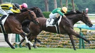 【新馬/新潟6R】ナサニエル産駒 ロアノークテソーロがデビューV