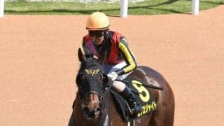 【レパードS枠順確定】ミスティックロアは5枠9番、エクロジャイトは7枠13番