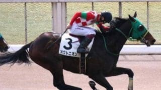 前走で地力証明 発馬五分なら桑園特別はオクトニオンにチャンスあり