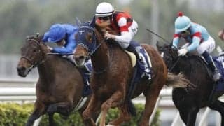 ウインマリリンが札幌記念の2週前追い切り 鞍上は慎重なジャッジ