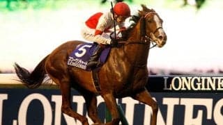 新種牡馬リーディングを独走中 スワーヴリチャード産駒の勢いはどこまで続くのか？