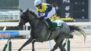 【小倉記念想定馬・騎手】マリアエレーナ、ククナなど17頭