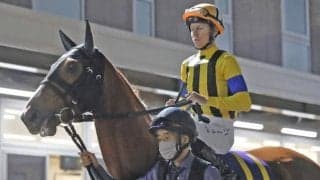 【柳都S】前走は不利大で参考外 ドライゼが高配の使者になる