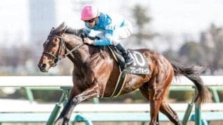 【今日の注目ポイント】札幌で札幌日経OP、新潟でサリオスの全妹デビューなど