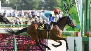 レパードＳの穴馬候補４頭　過去データから導き出された高額配当を演出するタイプは？