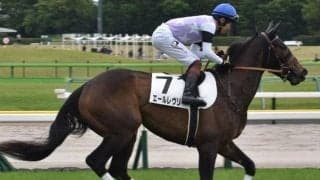 前走は負けて強しのエールレヴリー 新潟できっちり初勝利を