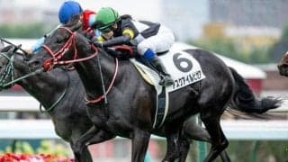 【札幌5R新馬戦結果】アスクアイルビゼアが逃げ切りV