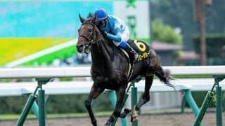 【札幌日経オープン結果】距離延長でブローザホーンが6馬身差の圧勝！
