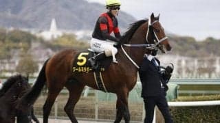 活躍目立つ組が不在！ 鍵となる条件戦組の取捨