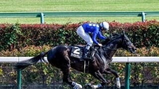 主役は近年好調のマリーンS組！ 結果を大きく左右する前走の経験