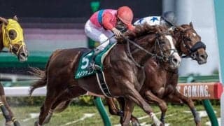 【エルムS予想】東京実績が重要!? 札幌ダート1700mで狙える「有力候補3頭」