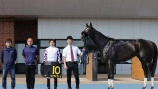 【エルムS前日オッズ】ペプチドナイルが3.2倍で1番人気