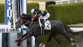 【レパードS前日オッズ】ミスティックロアが3.5倍で1番人気