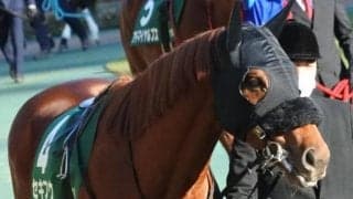 札幌ダートは血統に注目！ ストームキャット系セキフウの差し切りだ