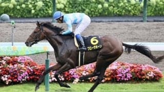 【札幌日経OP】ブローザホーンが6馬身差圧勝…オープン初勝利
