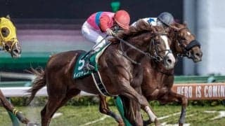 【エルムS予想】真夏のダート王決定戦 前走マリーンS組は無視できないが…