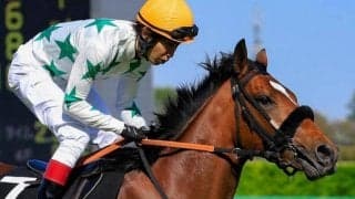 【HTB賞予想】前走4着が負けて強しの内容 好相性の横山武史騎手で決める