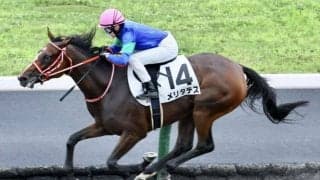 【札幌4R】古川奈穂騎乗、メリタテスの大逃げが炸裂