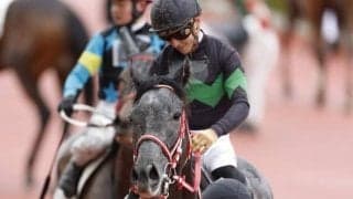 【レパードS・馬体重】ミスティックロアは520kg(±0)、エクロジャイトは508kg(+2)