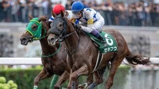 【JRA・WIN5】本日のWIN5は的中208票、配当202万9470円