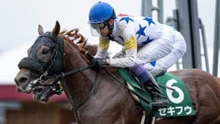 【エルムS結果】セキフウが差し切って重賞2勝目を挙げる