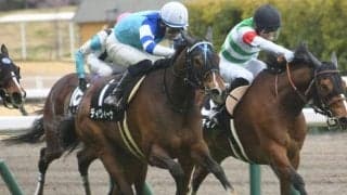 【関屋記念】セルバーグ、ディヴィーナらが登録