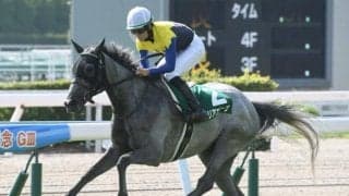 【小倉記念】マリアエレーナ、エヒトらが登録