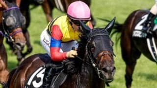 川田将雅騎手が1919勝でJRA通算勝利数単独9位に 「多くの馬たちと多くの関係者の方々に感謝しています」