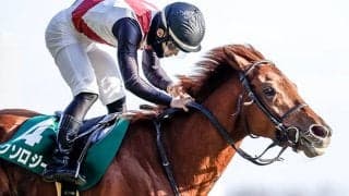 4連勝中の重賞馬ミクソロジーが年内休養へ 復帰について「来年の夏頃ぐらいになる」