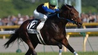 きょうキングカメハメハ4回目の命日 今も競馬界に影響を与える名馬の足跡とは