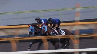 ビッグドリーム、小倉2歳Sへ向けて追い切り開始/栗東トレセンニュース