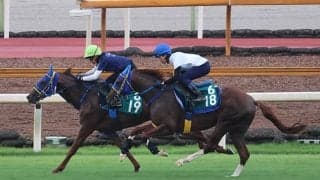 ライスネイチャ、メイクデビュー最終追い切り速報/栗東トレセンニュース